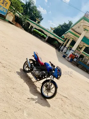 Bajaj Pulsar 150 2008 Blue