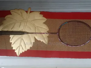 Photo - Yonex Astrox 100zz