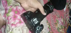 Photo - আলহামদুলিল্লাহ ক্যামেরা কোয়ালিটি Canon 600d 55-250 Zoom Lens