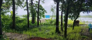 Purbachal Near Sector-21 Pacific Island 20/40/50 Katha Farm House Sale