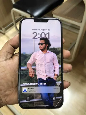 Apple iPhone 13 Pro Max 128 GB Silver