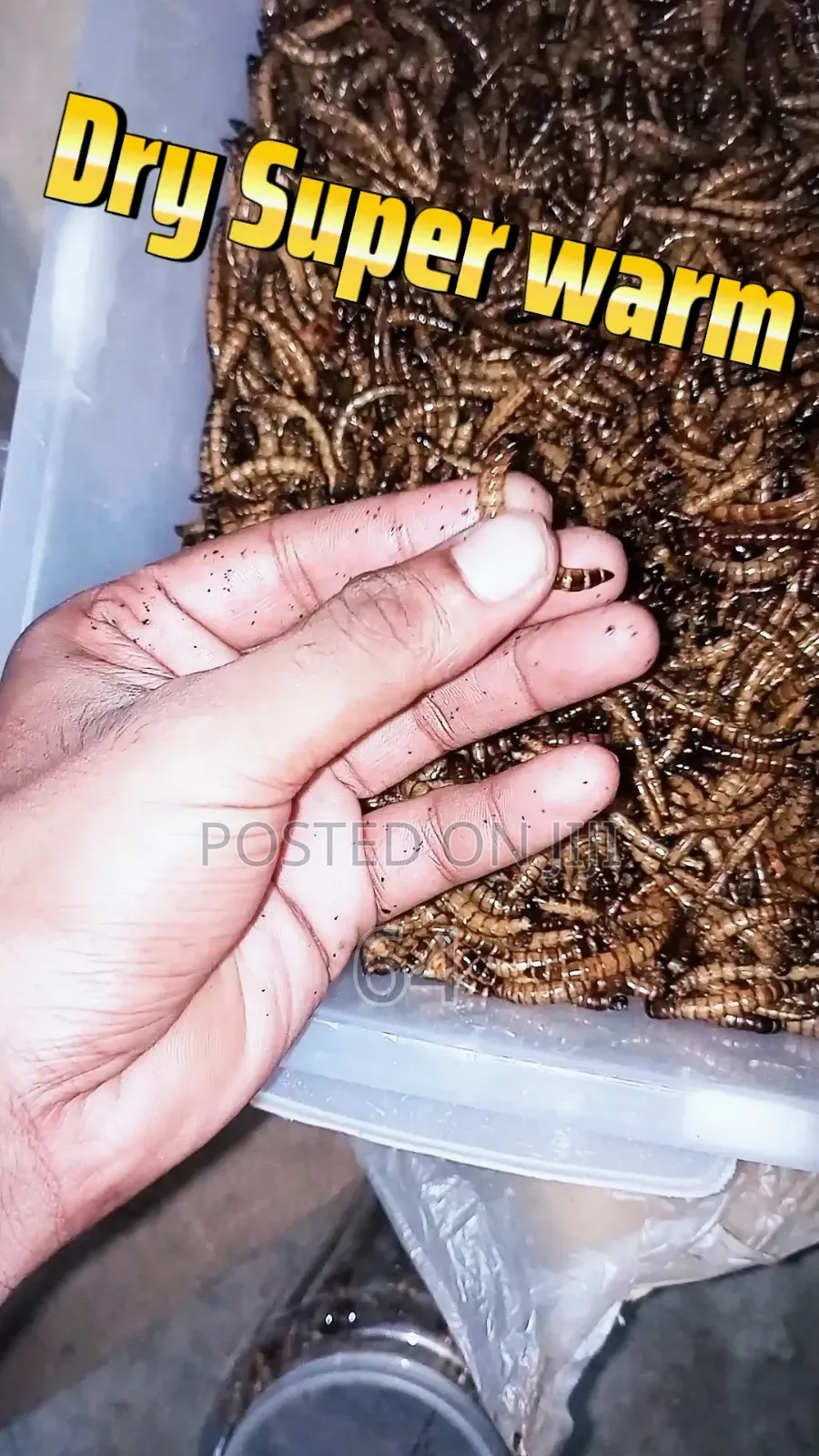 Dry Malewarm and Superwarm