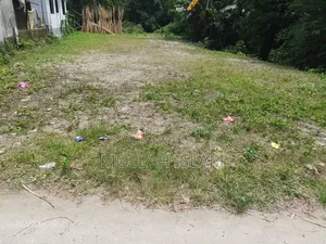 Photo - Jomi 12.5 Sotanso