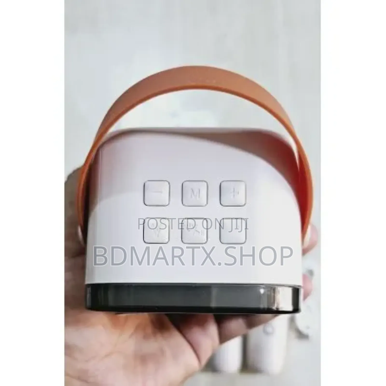 RGB Karaoke Bluetooth Speaker With Two Microphone