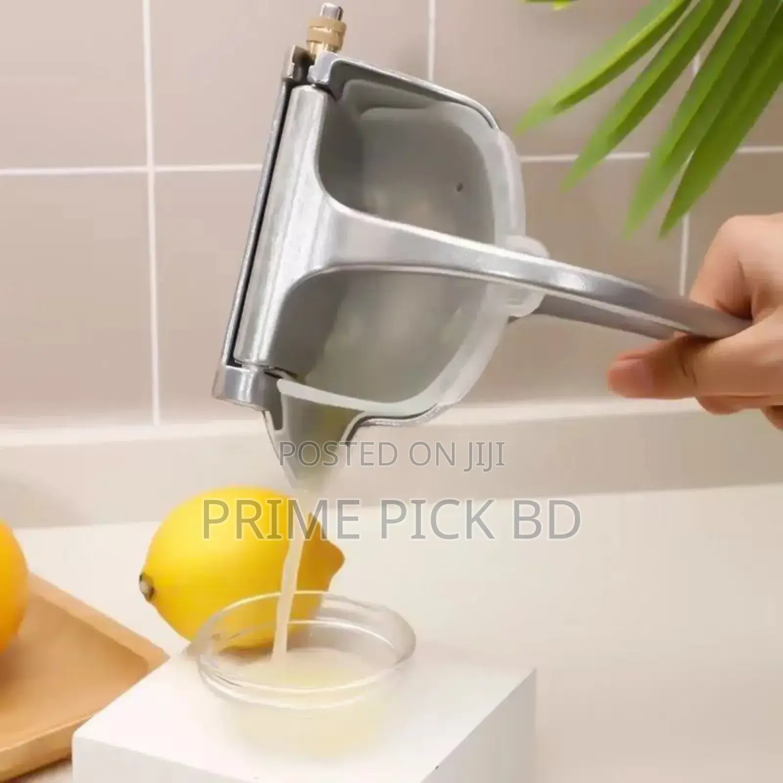 Food Press Juicer