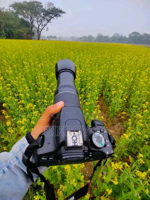 Photo - Canon 600d 75-300 Lens