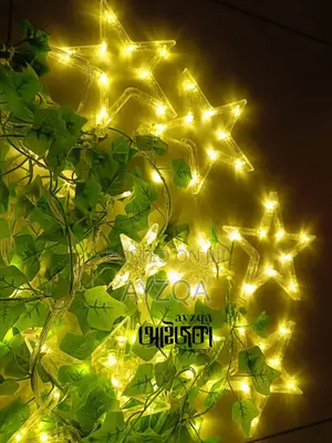 Photo - Leaf Big Star