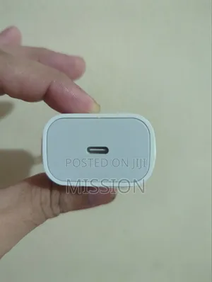 Apple Charger