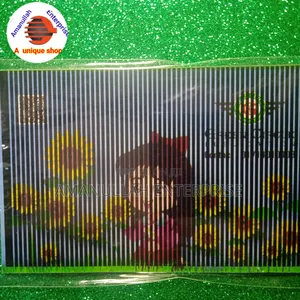 Magic Book ( Moving Image).