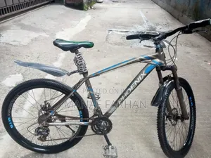 Photo - Phoenix Cycle