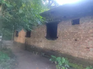 Photo - 8bdrm House in Zayed, Rupsha for Sale