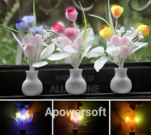 Photo - Home Style Light