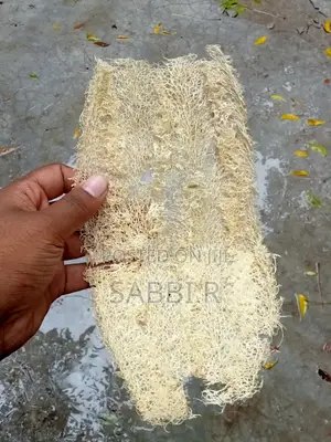 Loofah Sponge