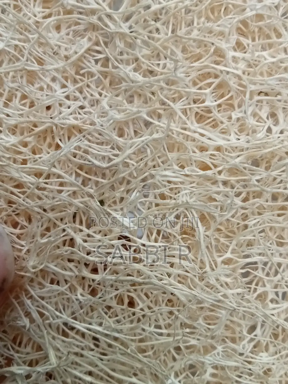 Loofah Sponge