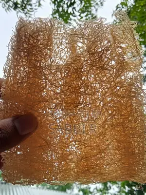 Loofah Sponge