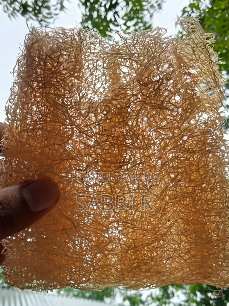 Loofah Sponge