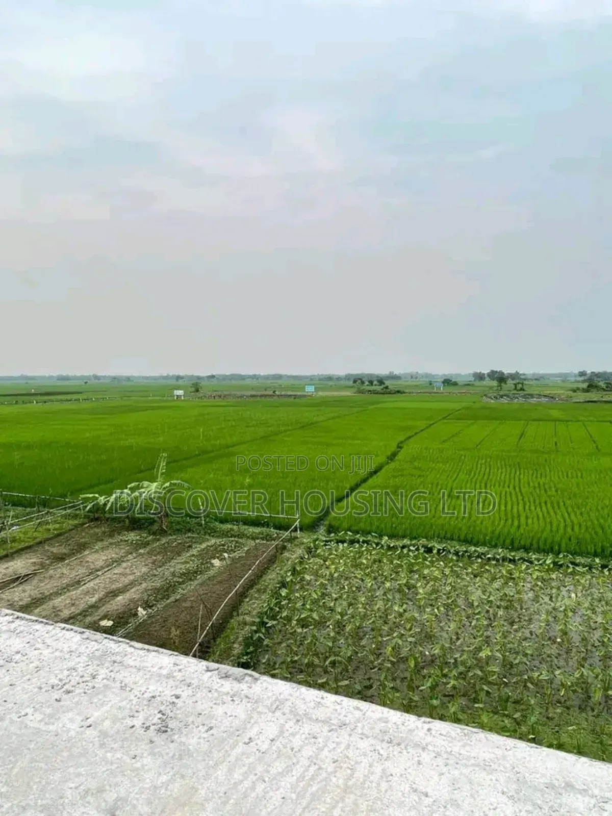 Plot Sell 3,5,7 Katha