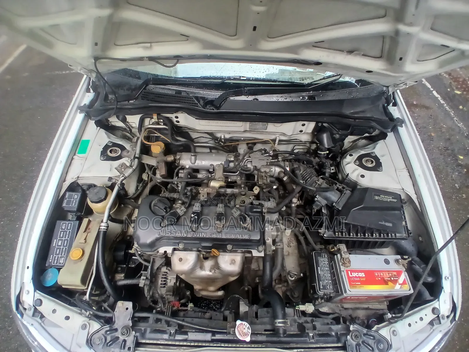 Nissan Sunny 2008 Pearl