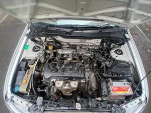 Nissan Sunny 2008 Pearl