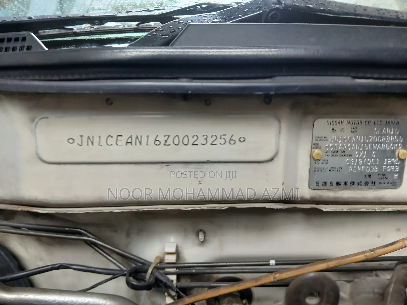 Nissan Sunny 2008 Pearl