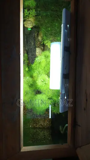 Photo - Full Planted Aquarium Set