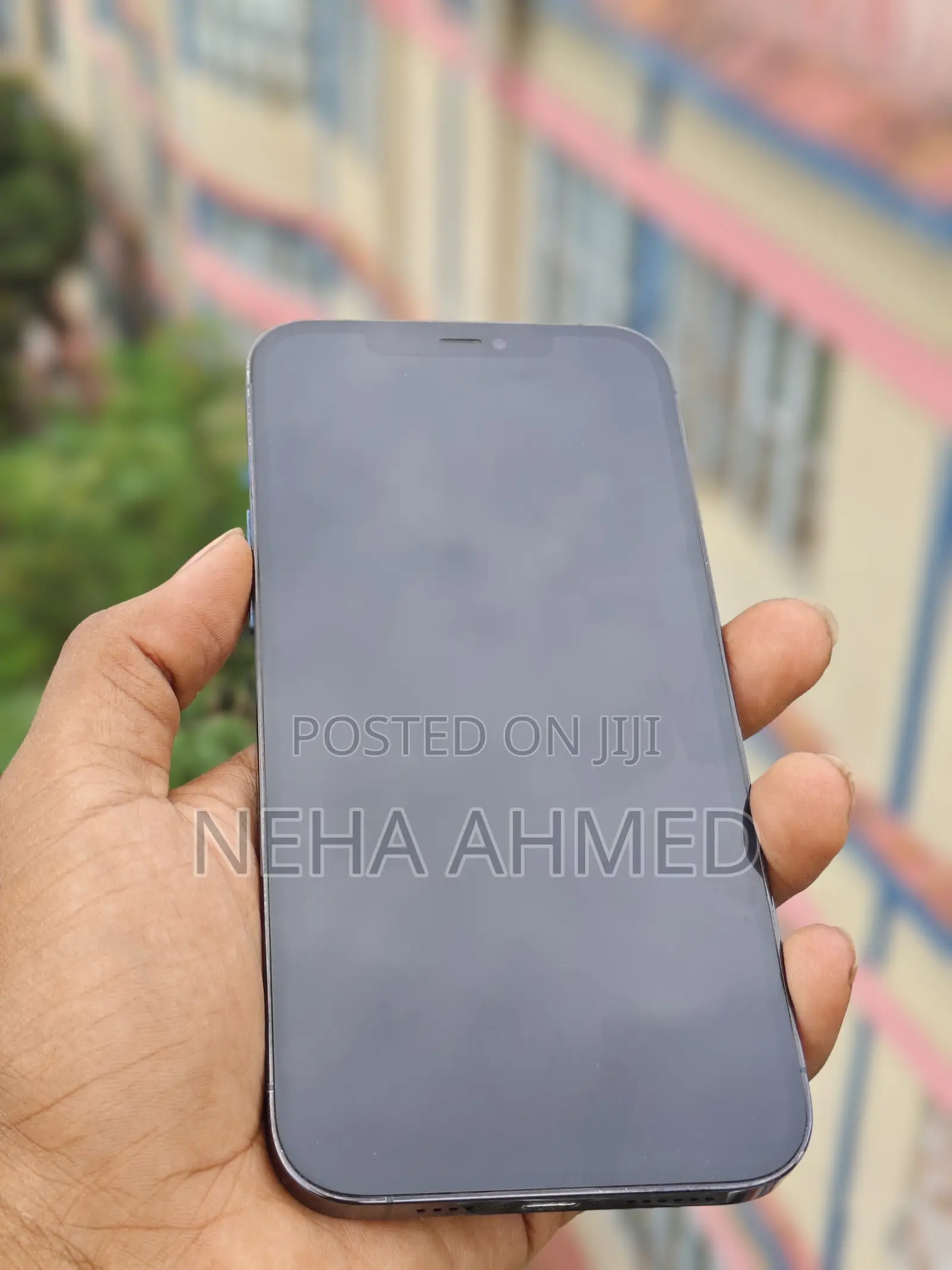 Apple iPhone 12 Pro Max 256 GB Blue