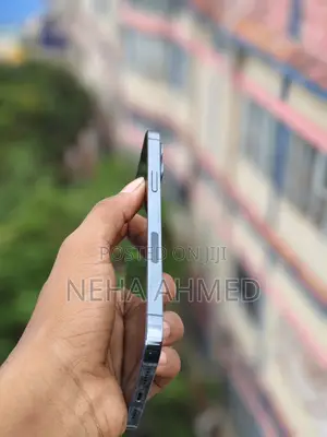 Apple iPhone 12 Pro Max 256 GB Blue