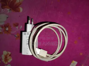 Photo - Xiomi 22.5w/18w Original Charger