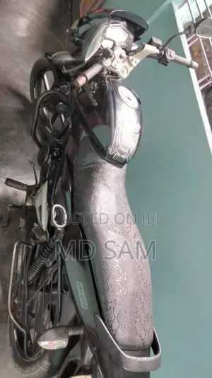 Bajaj Pulsar 150 2009 Black