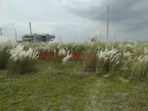 Photo - Ready Plot Sale, Bashundhara R/A