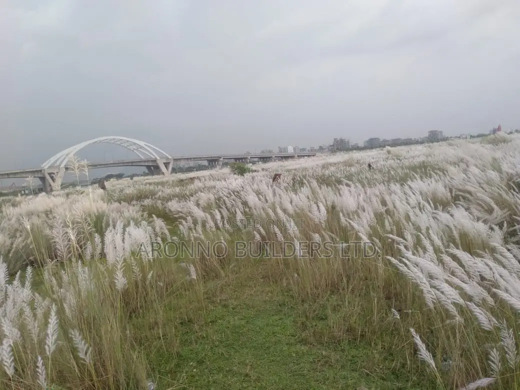 P-Extension Block, 20 Katha, Plot, Sale, Bashundhara R/A