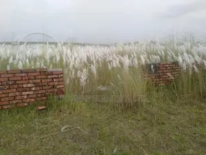 P-Extension Block, 20 Katha, Plot, Sale, Bashundhara R/A