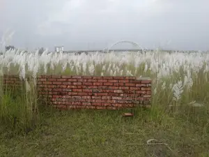 P-Extension Block, 20 Katha, Plot, Sale, Bashundhara R/A