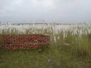 P-Extension Block, 20 Katha, Plot, Sale, Bashundhara R/A