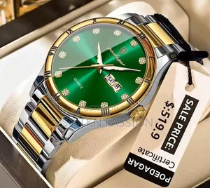 Poedagar Luxury Quartz Wrist Watch for Men