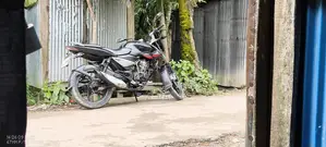 Photo - Bajaj Pulsar 135 LS 2010 Black