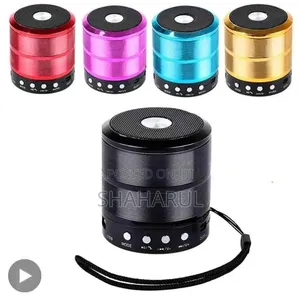 Mini Bluetooth Speaker (Ws-887)