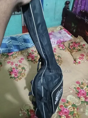 Contact( What's App)