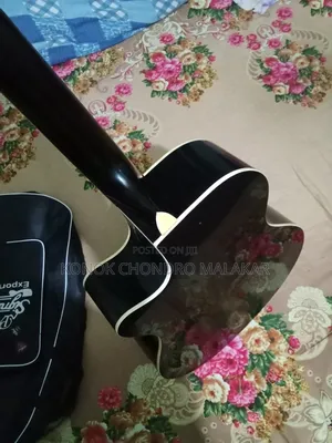 Contact( What's App)