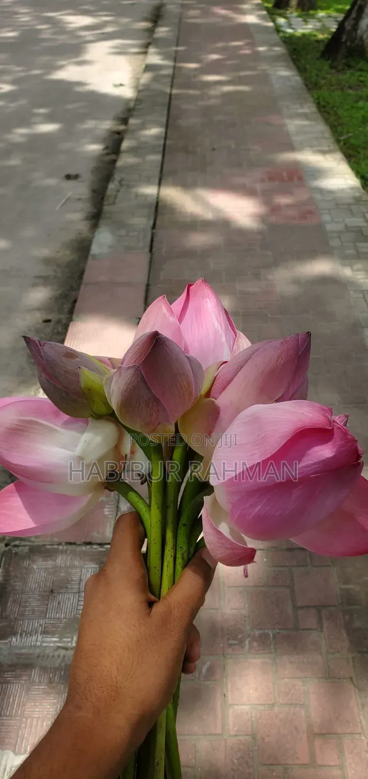 Samsung Galaxy S10 Plus 128 GB Blue