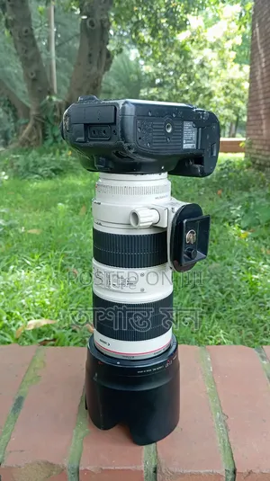 Photo - Canon 5d Mark 4 With 70-200 Is Ii