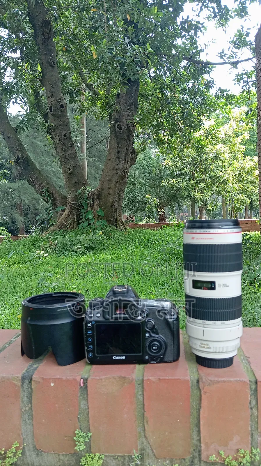 Canon 5d Mark 4 With 70-200 Is Ii