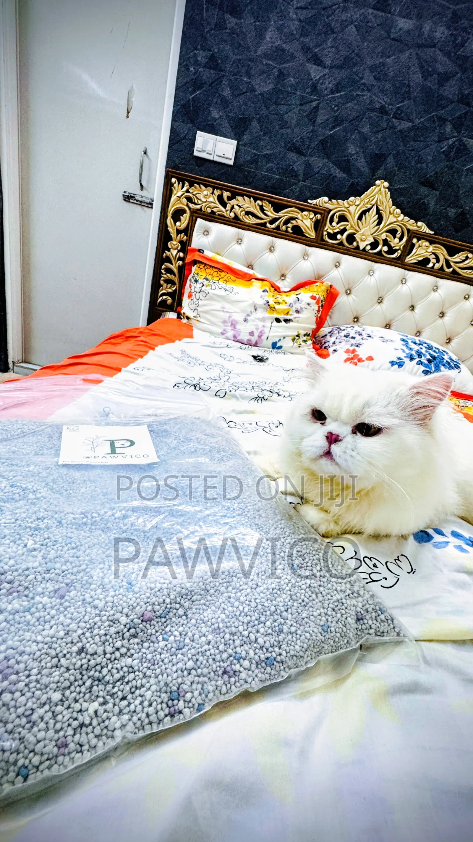 Bentonite Cat Litter