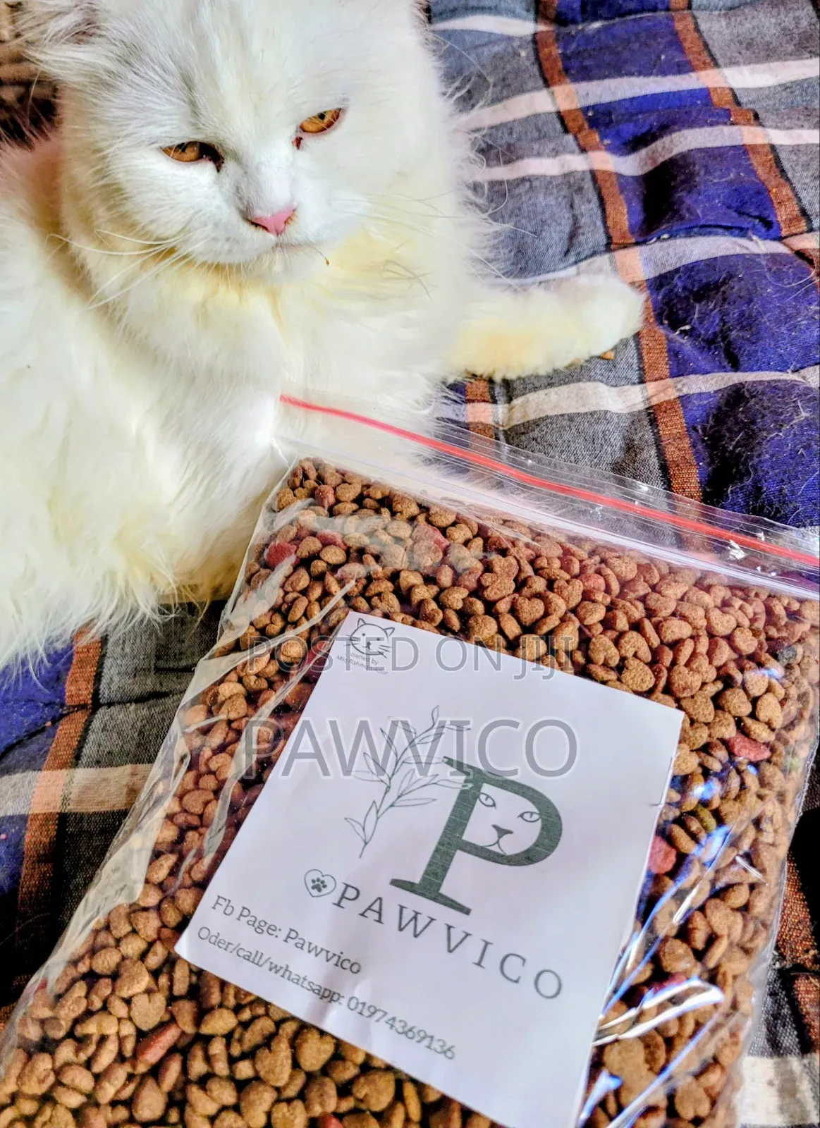 Premium Cat Food