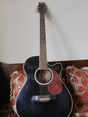 Photo - Ibaneza300e Pure Acoustic Guitar