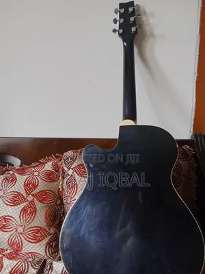 Ibaneza300e Pure Acoustic Guitar