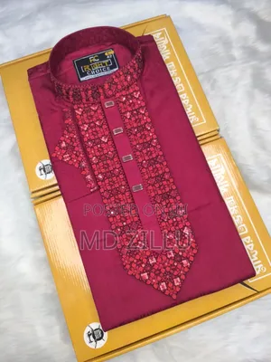 Sequence Embroidery Panjabi