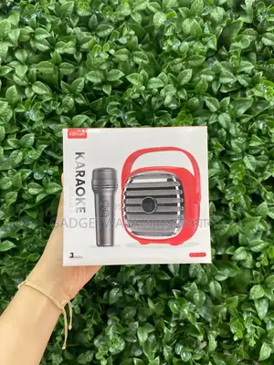 Mini Portable Speaker With Microphone