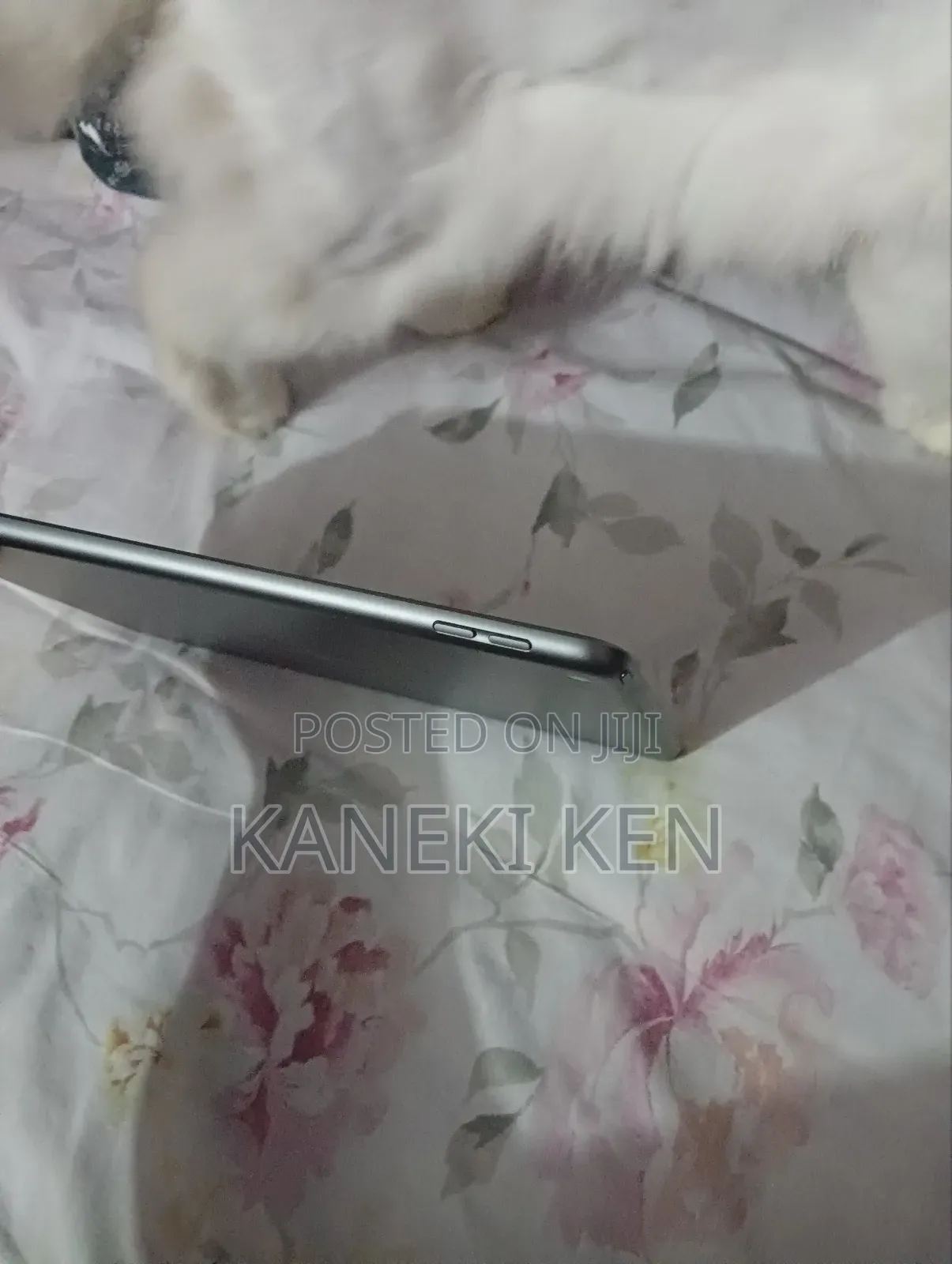 Apple iPad Wi-Fi 64 GB Gray