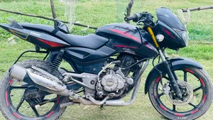 Bajaj Pulsar 150 2013 Black